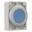 M30C-FDR-B Pushbutton, RMQ-Titan, Flat, maintained, Blue, Blank, Metal bezel thumbnail 14