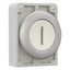 M30C-FD-W-X1 Pushbutton, RMQ-Titan, Flat, momentary, White, inscribed, Metal bezel thumbnail 14
