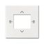 Central disc for room temperature controller or room temperature controller with CO thumbnail 1