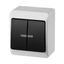 GALATEA Serial illuminated switch No. 5So 10A 230V on plaster IP44 white/black thumbnail 2