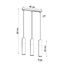 HANGING LAMP PABLO 3L BLACK GU10 3X40W IP20 thumbnail 6