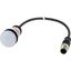 C22-L-W-24-P1 Indicator light, Flat, Cable (black) with M12A plug, 4 pole, 0.2 m, Lens white, LED white, 24 V AC/DC thumbnail 5