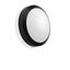 ROUNDED MAXI, 19 W, 1050 lm, 840, anthracite, on/off Ceiling and wall  thumbnail 2