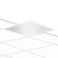 PLATE 600 MP 28.5 830 UGR thumbnail 1