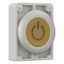 M30C-FDL-Y-X162 Illuminated pushbutton actuator, RMQ-Titan, Flat, momentary, yellow, inscribed, Metal bezel thumbnail 11