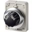 M30C-FWR-X91 Changeover switch, RMQ-Titan, With rotary head, maintained, 2 positions, inscribed, Metal bezel, AUTO HAND thumbnail 3