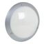 ESSENTIEL 1500LM 4000K  AV DETECTION HF SILVER thumbnail 2
