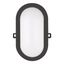 LED Bulkhead Basic 6W 4000K Black Oval thumbnail 2