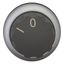 M22-WR Changeover switch, RMQ-Titan, With rotary head, maintained, 2 positions, inscribed, Bezel: titanium thumbnail 3
