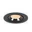 NUMINOS® GIMBLE M 2700K 55° black/chrome thumbnail 2