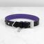 DOG COLLAR / CROSS / MEDIUM / BLACK / PURPLE / STEEL thumbnail 1
