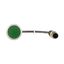 C22-D-G-K10-P3 Pushbutton, Flat, momentary, 1 N/O, Cable (black) with M12A plug, 4 pole, 0.5 m, green, Blank, Bezel: titanium thumbnail 14