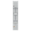 MD99 thumbnail 2