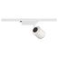 SUPROS TRACK 3000 SPOT, white, 2600lm, 3000K SLM LED, 60° thumbnail 3