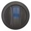 M22S-WRLK-B Illuminated selector switch actuator, RMQ-Titan, With thumb-grip, maintained, 2 positions, Blue, Bezel: black thumbnail 8