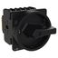 P3 Main switch, 80 A,Flush mounting, 3 pole, Form EA/SVB, Black, Door  thumbnail 1