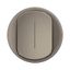 ROCKER LUMINOUS INTERMEDIATE SWITCH TITANIUM thumbnail 4