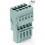 1-conductor female connector CAGE CLAMP® 4 mm² gray thumbnail 2