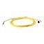 CSDR4A3CY2202 Connection cable, 4p/3Ltg, DC current, coupling m12 angled, open end, L=2m thumbnail 2